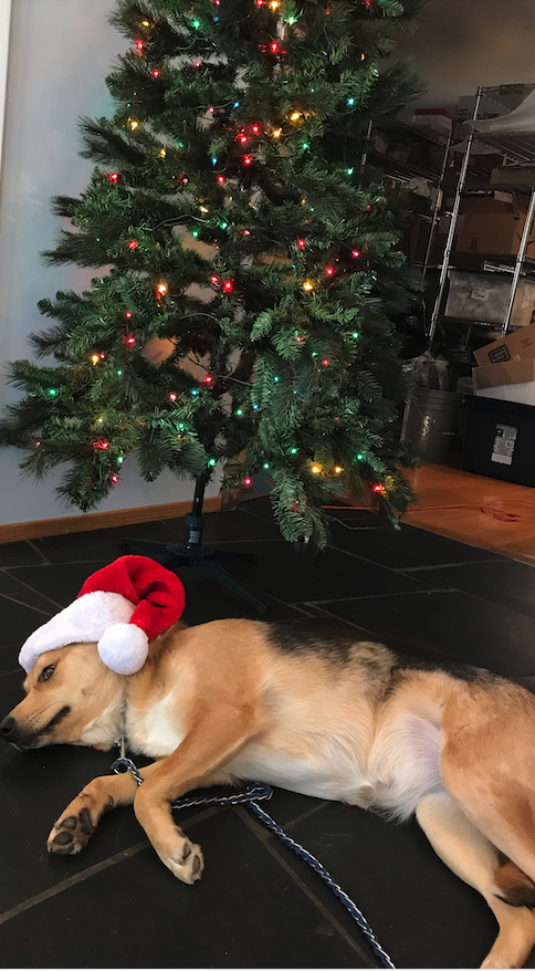 Christmas elff 2.png